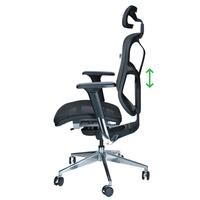 Ergonomikus irodai forgószék Business, szürke
