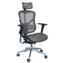 Ergonomikus irodai forgószék Business, szürke