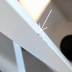 Állvány Bioptron PRO 1 biolámpához (Használt darab)