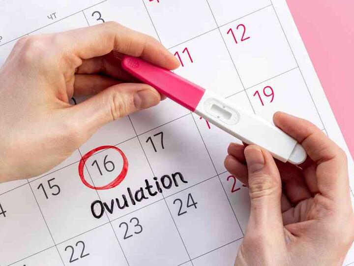 Ovulációs teszt: hogyan működik és mikor érdemes elvégezni